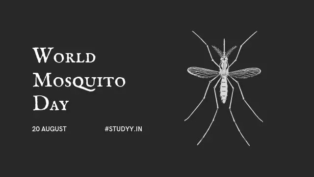 World Mosquito Day