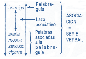 Las Relaciones Asociativas - Series Verbales