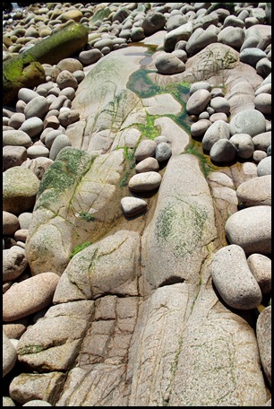 Great Head & Sand Beach hikes 131