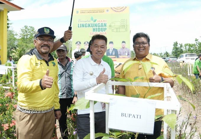 Peringatan HLH Sedunia, DLH Rohil Tanam 500 Pohon