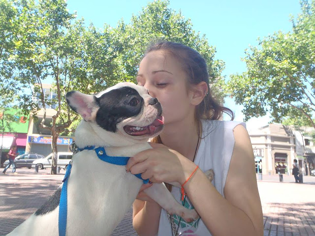 Su Perro sabe si Usted es Feliz