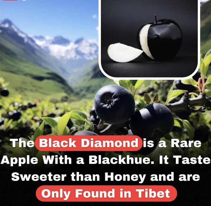 What is the Black Diamond?Black Apple