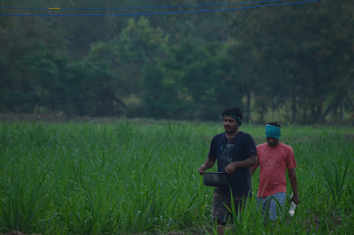 Nagalapuram West trekking.