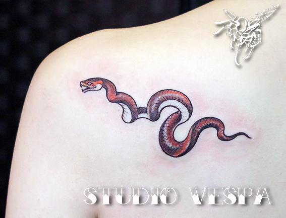 snake,tattoo