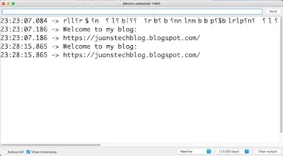 Serial Monitor shows my blog address.