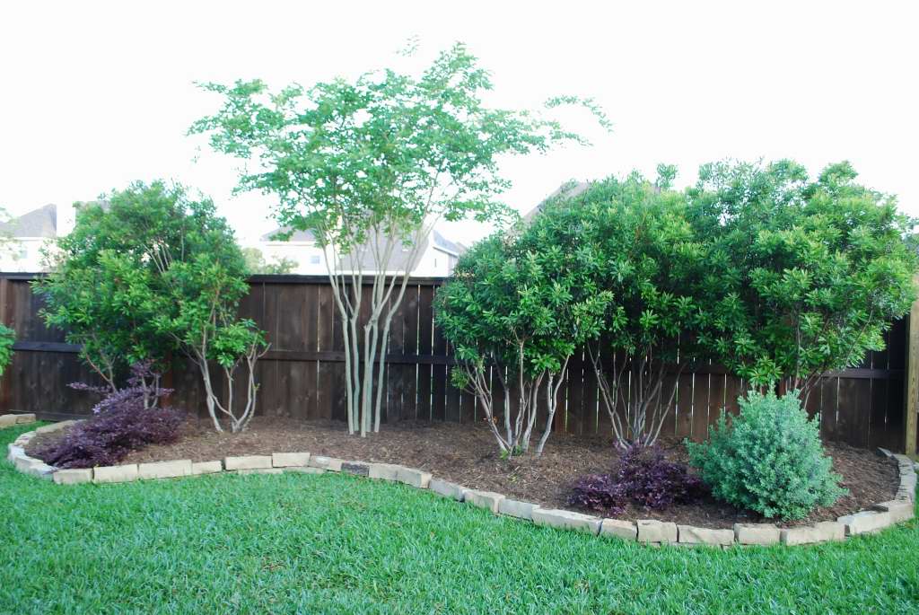 ... Communicator: Landscaping Made Easy, Part 5: Crape Myrtle (Unmurdered