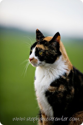 IMG_3101-Edit