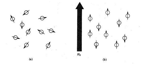 clip_image002