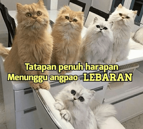 quote lucu lebaran