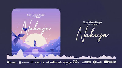 Download Audio Mp3 | Nay Wa Mitego Ft Phina - Nakuja