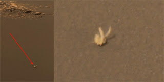 Kelinci - Foto 4 Hewan penunggu Mars yang berhasil diabadikan Curiosity