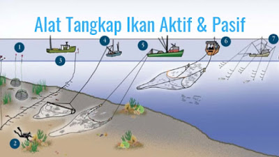 Alat Penangkap Ikan Aktif dan Pasif - Perikananku ID