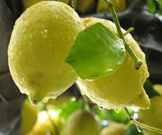 limone