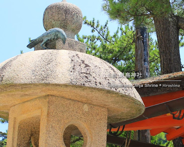 厳島神社のカラス