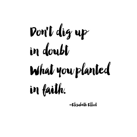 don't dig up in doubt -- elisabeth elliot