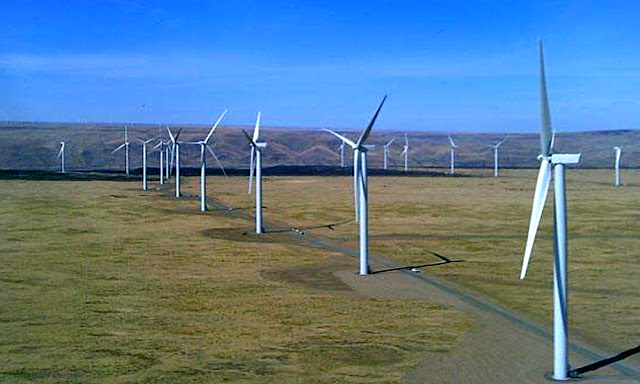 Shepherds Flat Wind Farm USA