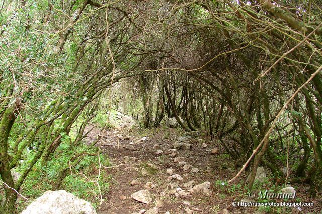 Circular Ojo del Moro - Pajaruco - Fuentes del Hondón - Salto del Cabrero