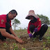 Kadis Kehutanan Melaksanakan Giat Pemeliharaan Tanaman pada Hutan