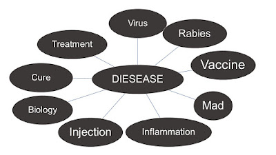 Louis pasteur question no.2 answer