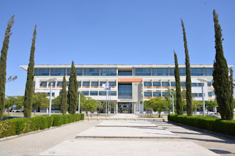 Το Πανεπιστήμιο Κύπρου ανάμεσα στα 401-500 καλύτερα του κόσμου!