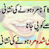 Boys jokes in urdu 2016