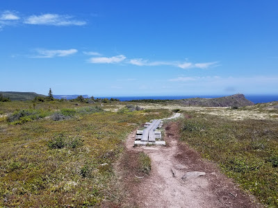 East Coast Trail pathway leaving Cape Spear