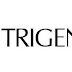 Trigent Solutions Hiring for Developer - Apply Now