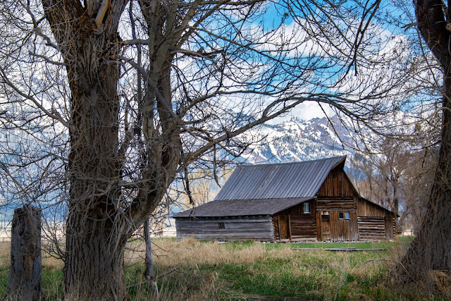 Most Photographed Barn in the World - Moulton Barn Grand Tetons National Park Mormon Row