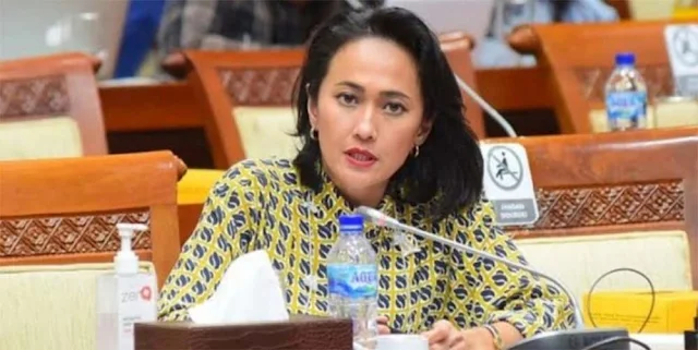 Komisi I DPR Kritik LBP Soal Kewarganegaraan Ganda WNI Berbakat