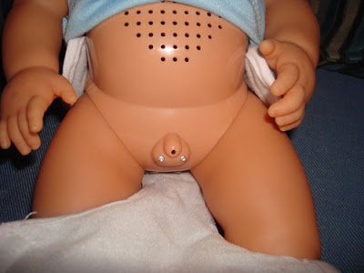 It's not just a baby doll. It's a boy baby doll. With the right apparatus.