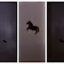 Flying black horse caught on camera in Saudi Arabia