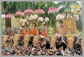 TPM_109_trichur_pooram_kerala_DSC_00