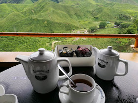 Tempat Menarik Cameron Highland