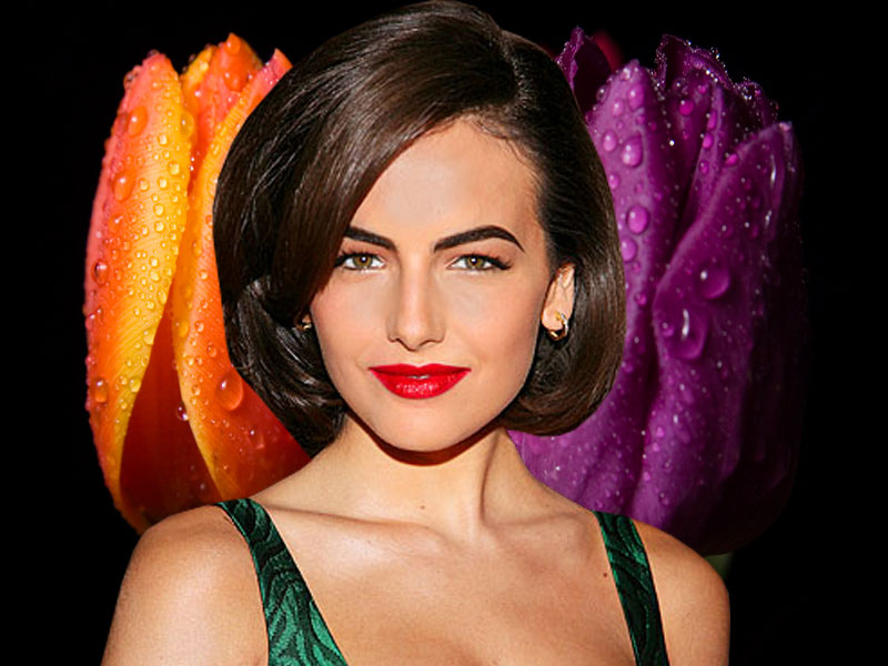  or share it where your wished to share these Wallpapers Camilla Belle 