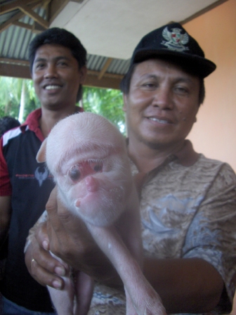 Foto Foto atau Gambar Kejadian Aneh Berita Terbaru Te