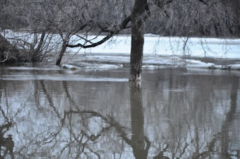 Potential for Flood in 2011