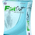 Maintain a Healthy Gut with FatOut