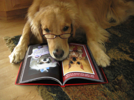 dog book