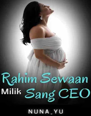 Novel Rahim Sewaan Milik Sang CEO Karya Nuna Yu Full Episode