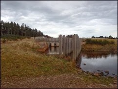 P2040067