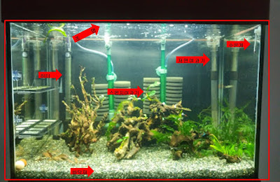 수족관 기본 구비 물품