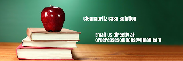 CleanSpritz Case Solution