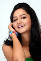 Shanvi, cute, and, spicy, photo, shoot, gallery