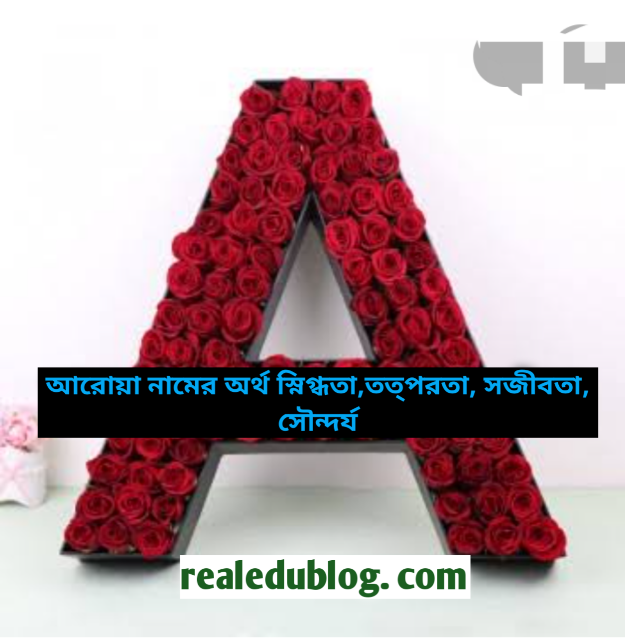 Aroya name meaning in Bengali, Aroya name meaning,আরোয়া  নামের অর্থ কি,Aroya namer ortho ki,আরোয়া নামের বাংলা অর্থ কি,আরোয়া নামের ইসলামিক অর্থ কি,আরোয়া নামের আরবি অর্থ কি,আরোয়া নামটি কি আরবী নাম,আরোয়া নামটি কি ইসলামিক নাম