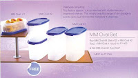 Tupperware MM Oval set