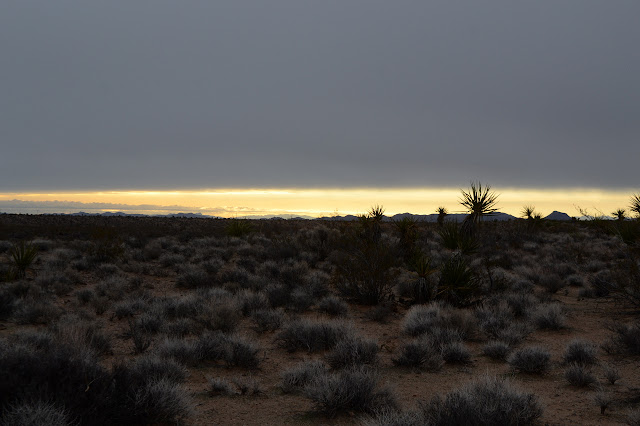 thin line of light to set off some distant peaks behind the mojave yucca