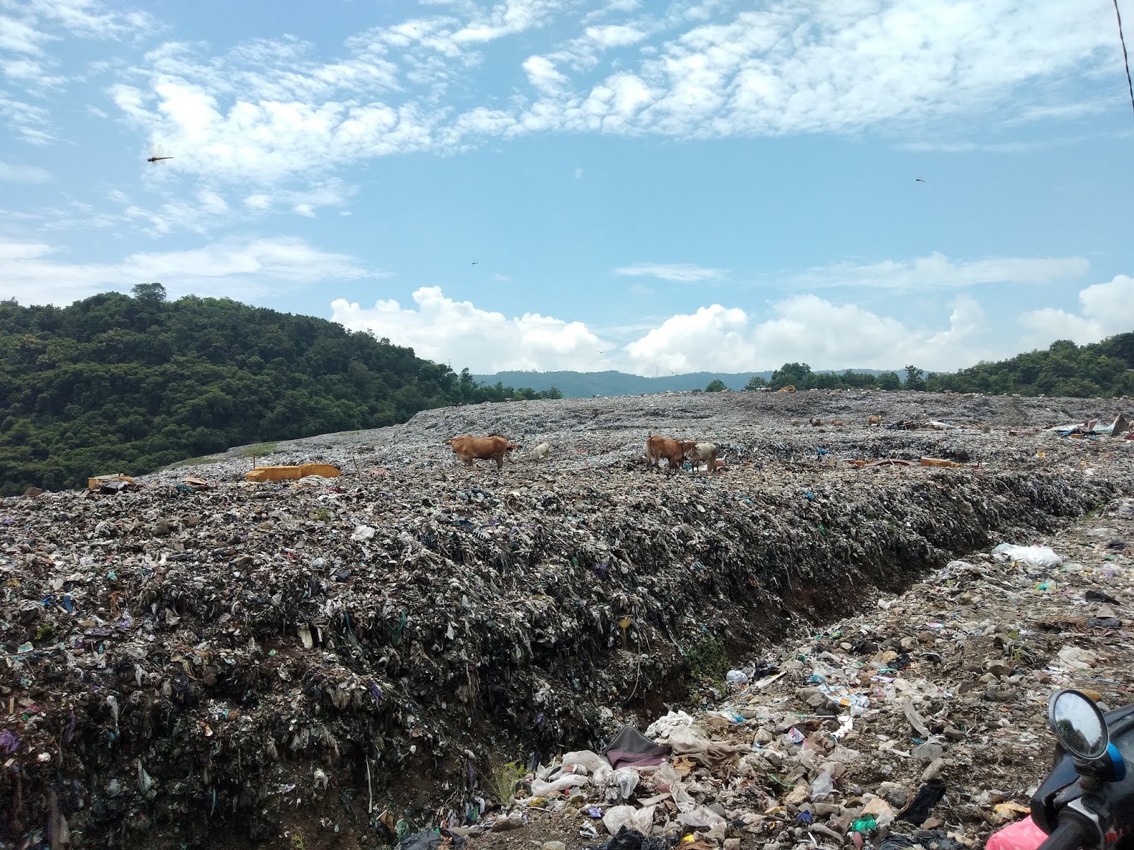 Ada Apa Dengan Sampah Plastik