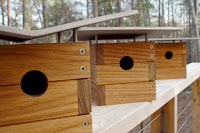 Modern Bird House