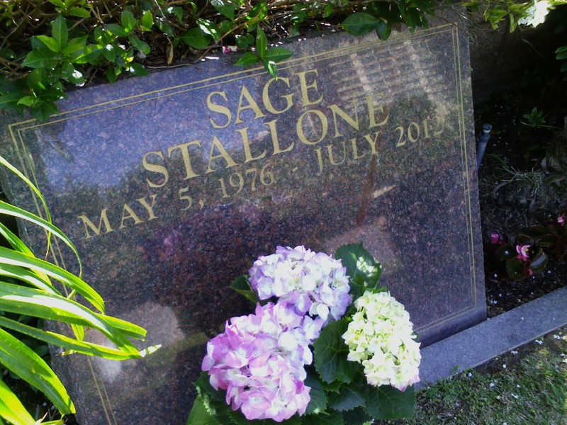 ¿Qué fue del hijo de Sylvester Stallone tras Rocky V? La triste historia de Sage Stallone [GenB]