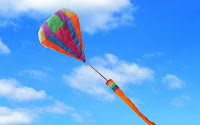 Hot Air Balloon Kites1